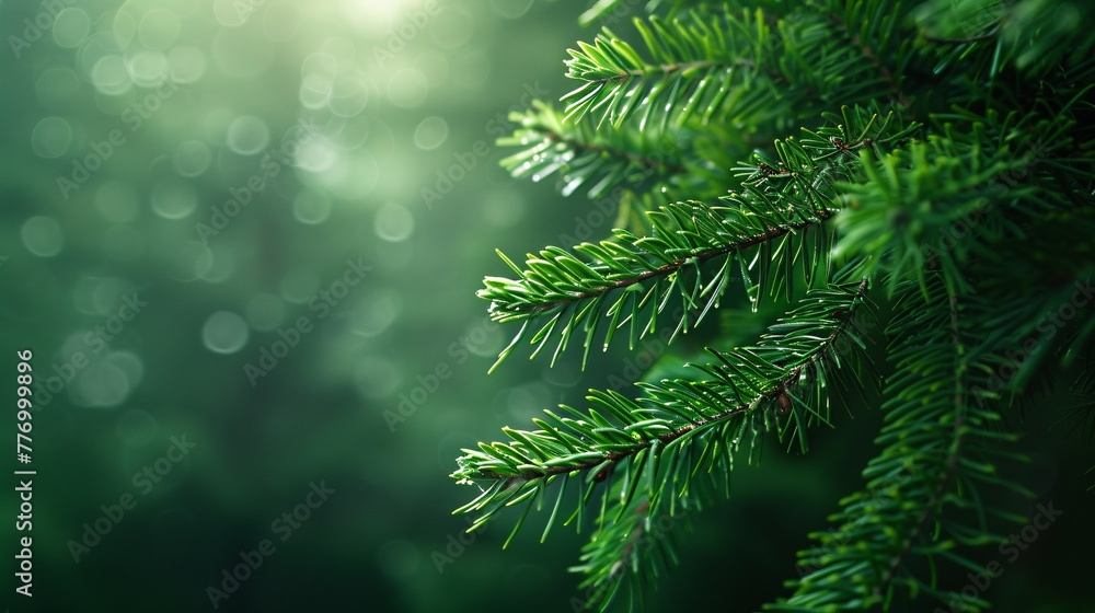 Poster the serene forest a close-up view of the majestic pine tree generative ai