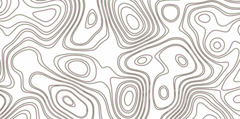 Fototapeta na wymiar Abstract topography background. Blank detailed topographic contour map subtle. White vector background. Topographic geography wallpaper.