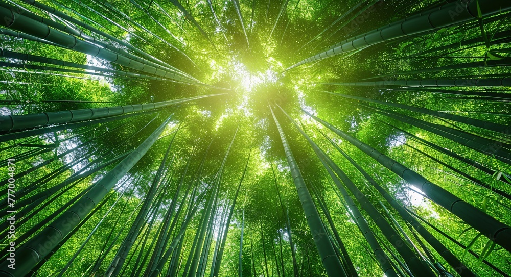 Aufkleber the enlightened path a journey through the bamboo forest generative ai
