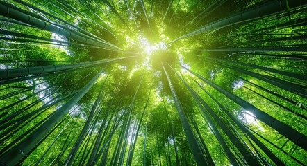 Fototapeta na wymiar The Enlightened Path A Journey Through the Bamboo Forest Generative AI