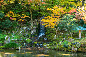 Kenroku-en Garten,  Kanazawa,  Japan 