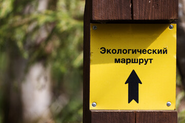 Yellow information board in the forest, trekking trail direction - obrazy, fototapety, plakaty