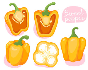 Bell pepper. Yellow sweet pepper. Half, whole and slice pepper. Vegetable, cooking ingredient. Illustration. 