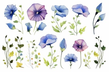 watercolor of morning glory clipart with trumpet-shaped flowers in various colors. flowers frame, botanical border, Wedding floral arrangements. Wedding decor, invitations, cards. on white background. - obrazy, fototapety, plakaty