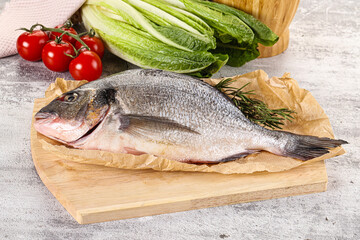 Raw dorada fish served rosemary