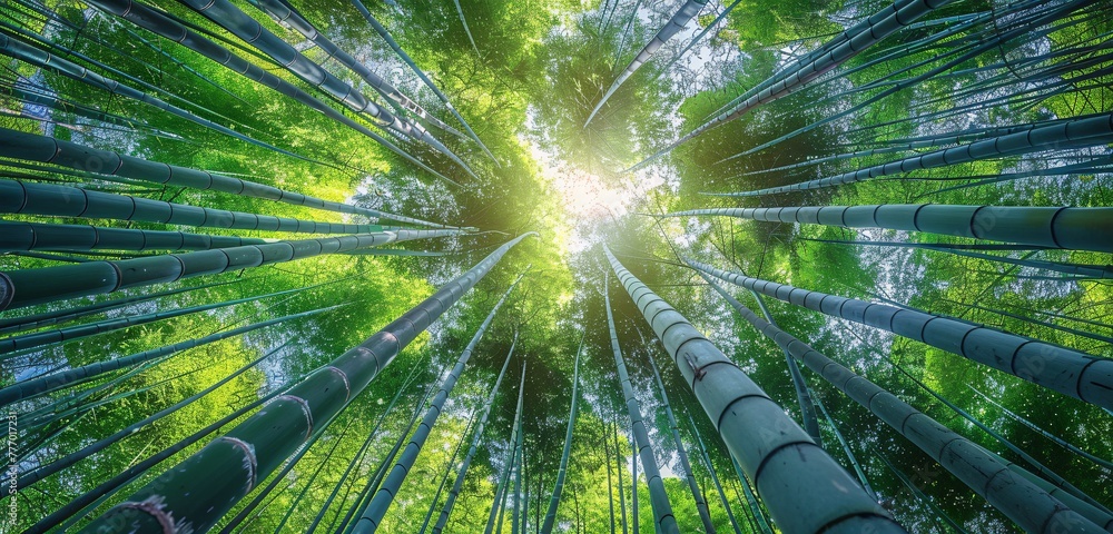 Aufkleber the enlightened path a journey through the bamboo forest generative ai