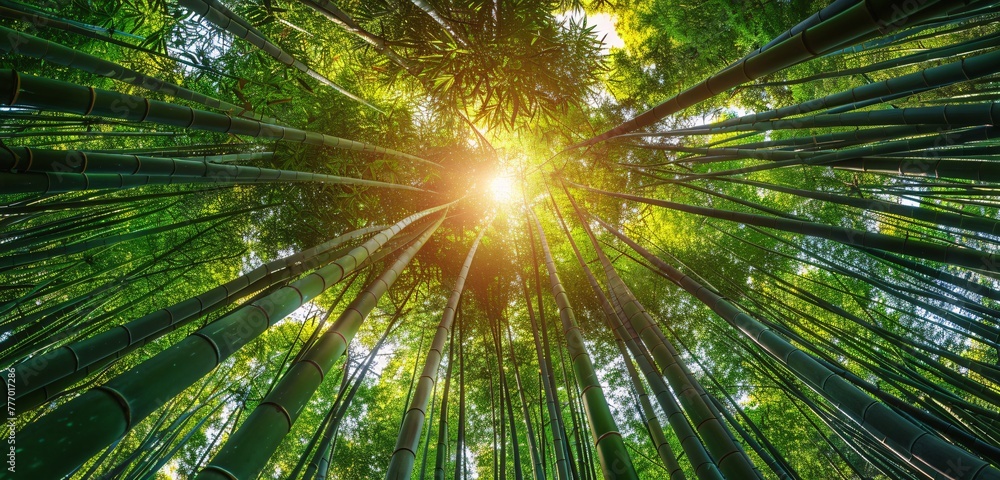 Aufkleber the enlightened path a journey through the bamboo forest generative ai