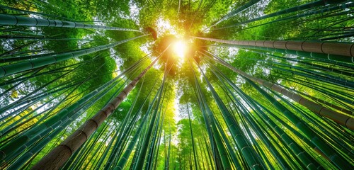 The Enlightened Path A Journey Through the Bamboo Forest Generative AI