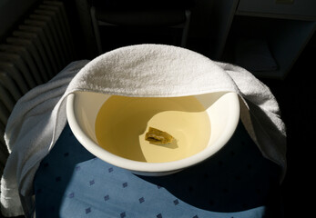 Fototapete bei efototapeten.de bestellen   