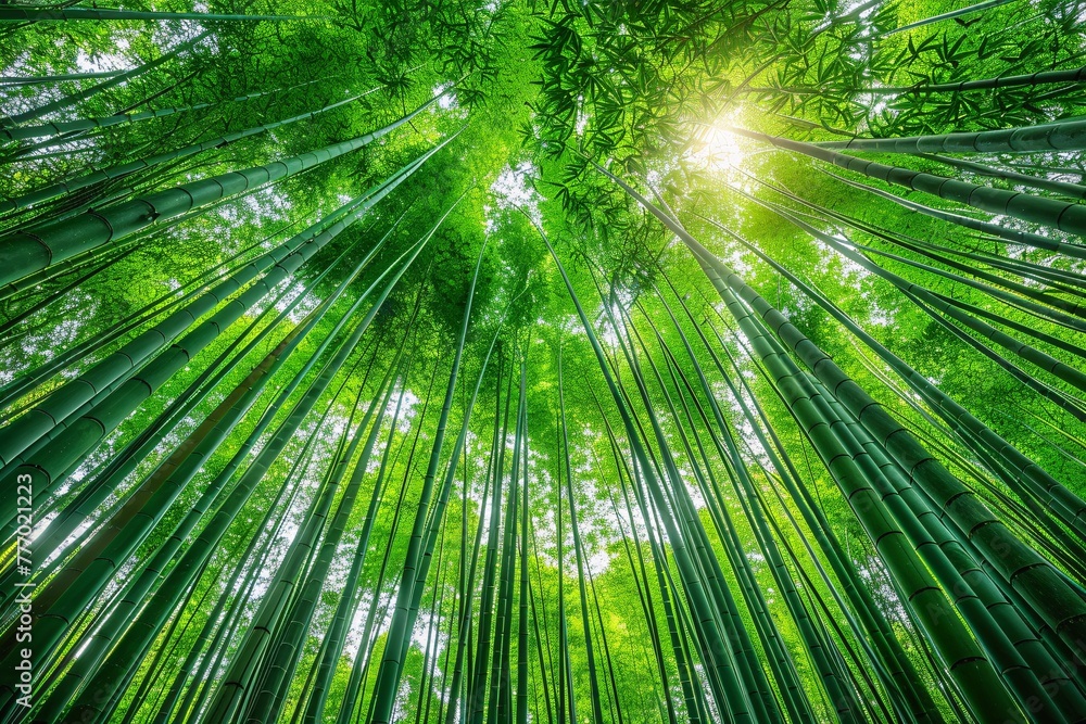 Aufkleber the enlightened path a journey through the bamboo forest generative ai