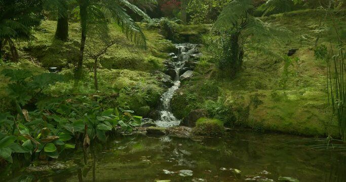 Medium shot of a small waterfall in Terceira, Azores
