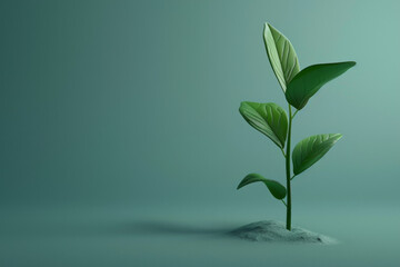 An isolated green plant