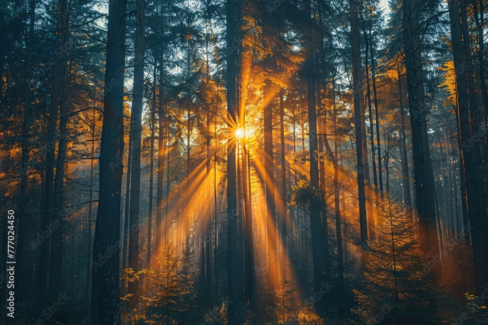 Poster sunbeams through the trees a serene forest scene generative ai
