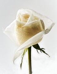 A rose made of bandage material gauze bandage symbolically for wishes for a speedy recovery
