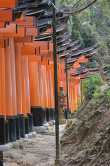 Red pagodas and gates up the mountain in Fushimi Inari-Taisha shinto shrine temple in Kyoto, Japan...