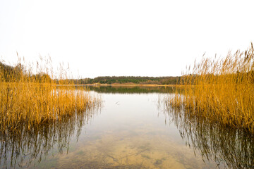 View of the Oldenstädter See near Uelzen. Winter landscape by the lake.
