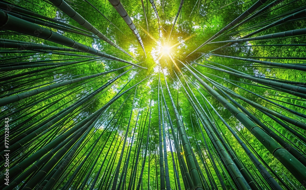 Aufkleber the enlightened path a journey through the bamboo forest generative ai