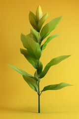 Fototapeta na wymiar An isolated green plant