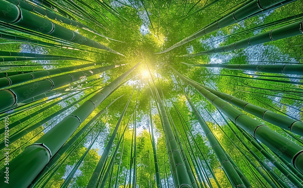 Aufkleber the enlightened path a journey through the bamboo forest generative ai