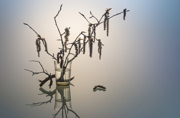 Still life with aspen branches with spring earrings.