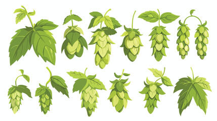Illustration of hops for brewing Flat vector isolated