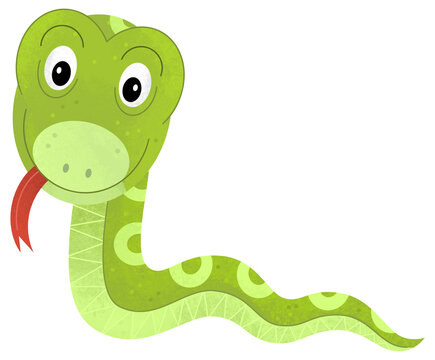 cartoon scene with snake animal theme isolated on white background illustration for children