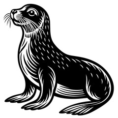 seal of the sea