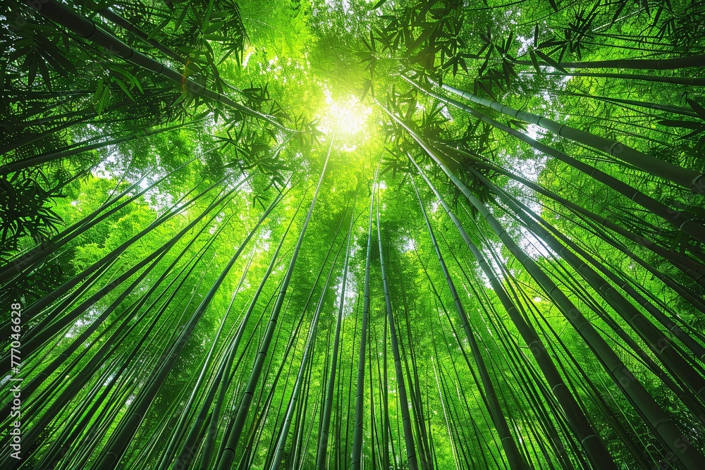 Poster the enlightened path a journey through the bamboo forest generative ai