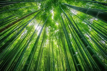 Fototapeta na wymiar The Enchanted Forest A Journey Through the Bamboo Grove Generative AI