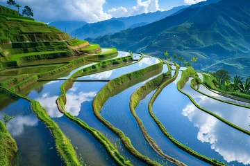 Fototapete Reisfelder Panoramic view of terraced rice paddies, with each level reflecting the sky above, showcasing the artistry and labor intensity of traditional farming methods