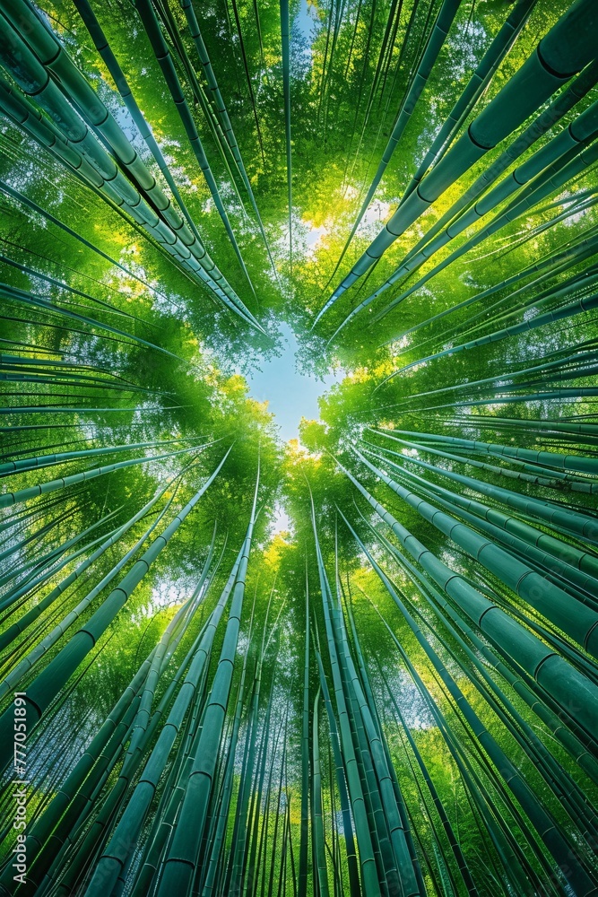 Aufkleber the enlightened path a journey through the bamboo forest generative ai