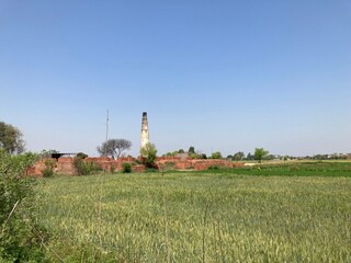 Fototapeta na wymiar landscape with windmill