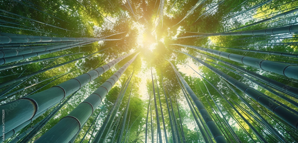 Poster the enlightened path a journey through the bamboo forest generative ai