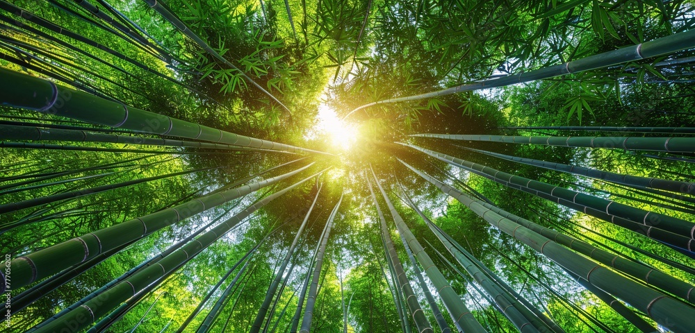 Aufkleber the enlightened path a journey through the bamboo forest generative ai