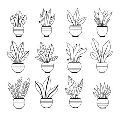 Vector set of contour various plants in pots clip arts. Collection of monochrome outline flowers in vases for home decoration. Natural design elements for stickers, icons, hobby articles - 777061089