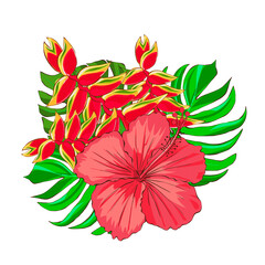 Floral arrangement of tropical flowers and leaves, hand drawn illustration on a white background. Exotic red hibiscus flowers and monstera leaves. Design for printing on packaging and fabric design.