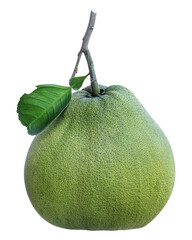 Pomelo fruit with leaf