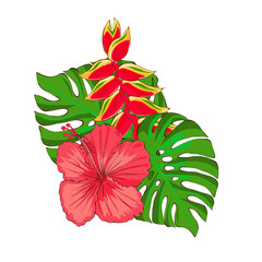 Floral arrangement of tropical flowers and leaves, hand drawn illustration on a white background. Exotic red flowers and monstera leaves. Design for printing on packaging and fabric design.