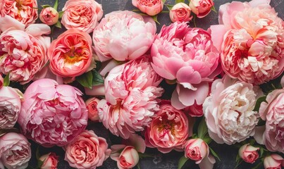 Peony and roses. Flat lay, top view. Beautiful pink flowers.