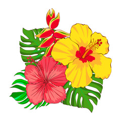 Floral arrangement of tropical flowers and leaves, hand drawn illustration on a white background. Exotic hibiscus flowers and monstera leaves. Design for printing on packaging and fabric design.