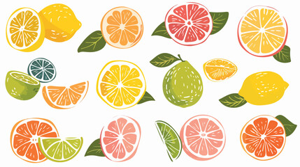 Cartoon doodle citrus fruit flat vector isolated on white