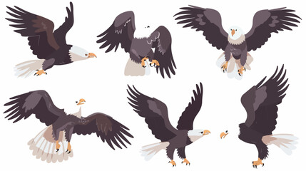 Cartoon eagles collection set flat vector isolated 