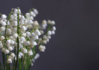 Spring bouquet of lily of the valley flowers on gray background