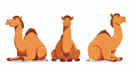 Obraz na płótnie Canvas Cartoon funny camel sitting flat vector isolated on white
