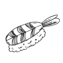 Doodle sushi nigiri with shrimp. Vector illustration line sketch