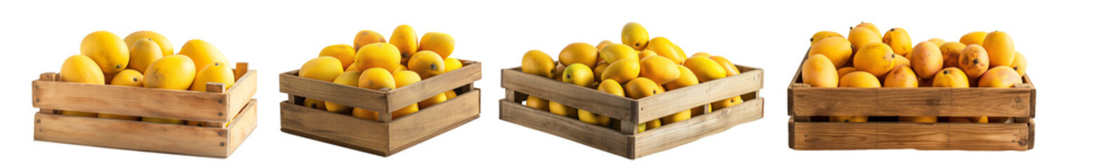 Set of open Wooden box of fresh yellow mangoes isolated on white background