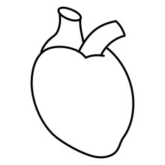 Perfect design icon of heart

