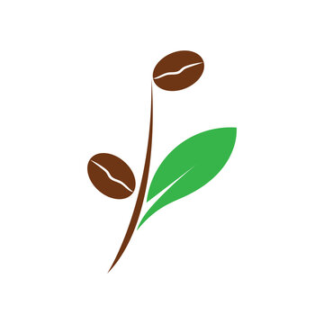 leaf and coffe icon vector illustration template design logo