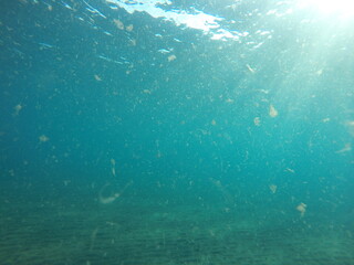 Fototapeta na wymiar under the surface of marine habitat, se a ocean, vast of water