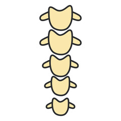 Vector design of vertebral column 

